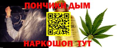 стаф Сланцы