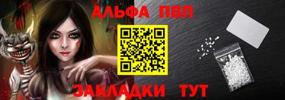 стаф Сланцы