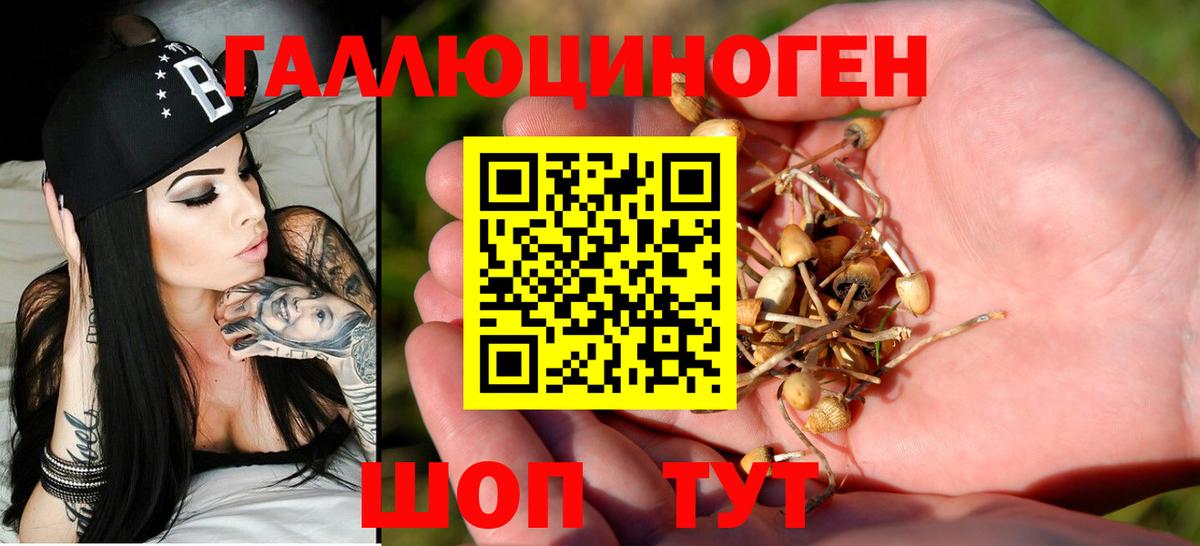 Галлюциногенные грибы Psilocybe Орехово-Зуево