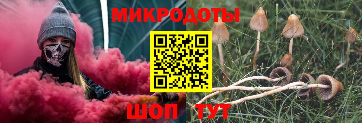 Орехово-Зуево  Псилоцибиновые грибы мухоморы  даркнет сайт  Галлюциногенные грибы мицелий  Вход с VPN 